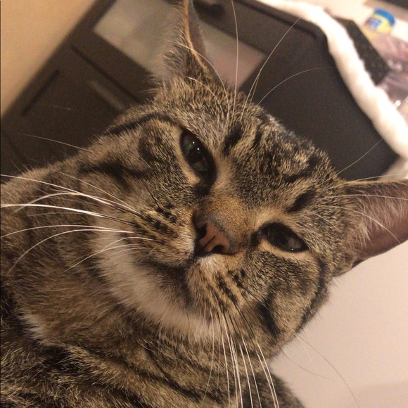 Joan Wong - Poshmark Profile Picture of Joan Wong (@joanwong0328) on Poshmark