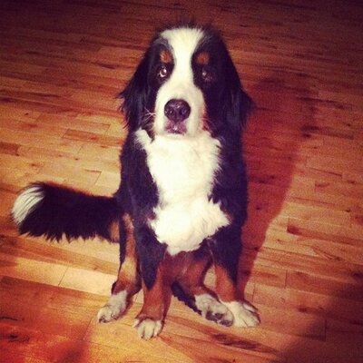Profile Picture of Clark Frederick (@Morton388) on Twitter