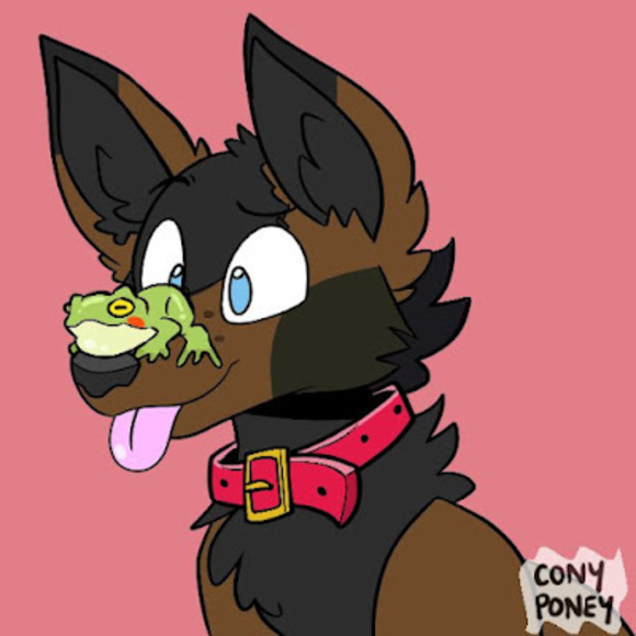 Profile Picture of Fern Mullins (@stormlover5539) on Poshmark