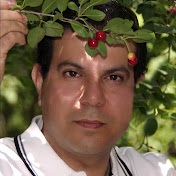 Profile Picture of Rahim Rahimzadeh (@rahimrahimzadeh9709) on Youtube