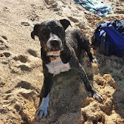 Profile Picture of Bj Wright (@bjwright1123) on Youtube