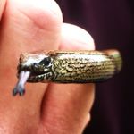 Profile Picture of Jan Twardowski (@_tupet_) on Instagram