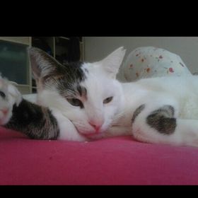 Profile Picture of Selin Cankı Ceylan (@lilith84) on Pinterest