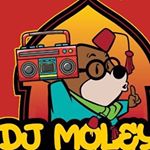 Profile Picture of Martin Hamlin (@moley_dj) on Instagram