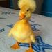 Profile Picture of Berit Adebahr (@beritadebahr) on Pinterest