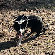 Maggie Sauer - Youtube Profile Picture of Maggie Sauer (@Maggiester) on Youtube