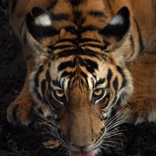 Profile Picture of paulgomez (@paulgomez) on Instagram