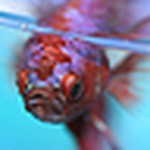 Profile Picture of Erin (@Chase Bank) on Flickr