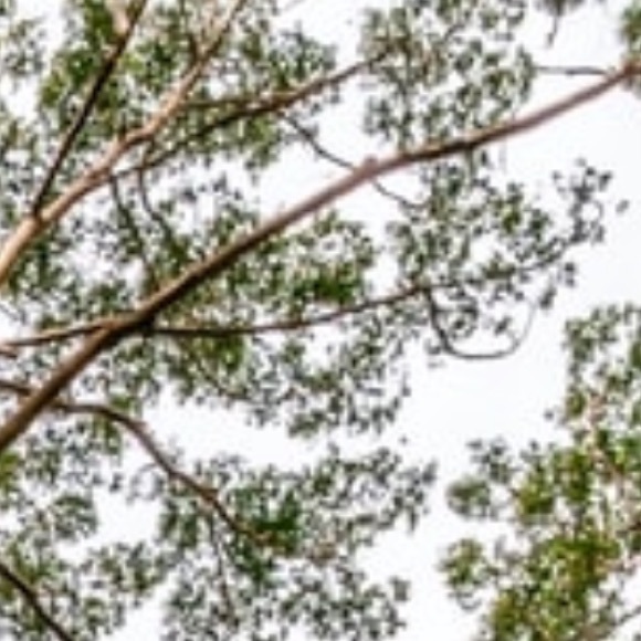 Profile Picture of Sophia Dehler (@rodeotoad) on Poshmark