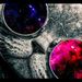 Profile Picture of D'Wayne Hurd (@dwaynehurd) on Pinterest