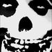 Profile Picture of Aaron Redding (@atruevet) on Pinterest