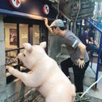 Profile Picture of Alex Qiu (@hualexanderq) on Instagram