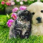 kassandra ortiz - Instagram Profile Picture of kassandra ortiz (@kassandra_xo_xo) on Instagram