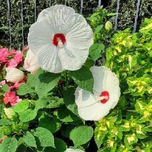 Profile Picture of lucindakramer29 (@lucindakramer29) on Tiktok