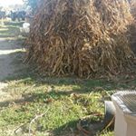 Profile Picture of novi profil (@dragica.miciccc) on Instagram