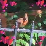 Profile Picture of Teresa Gallagher (@blessedtg8) on Instagram