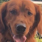 Profile Picture of jeremy marcum (@packers1985) on Instagram