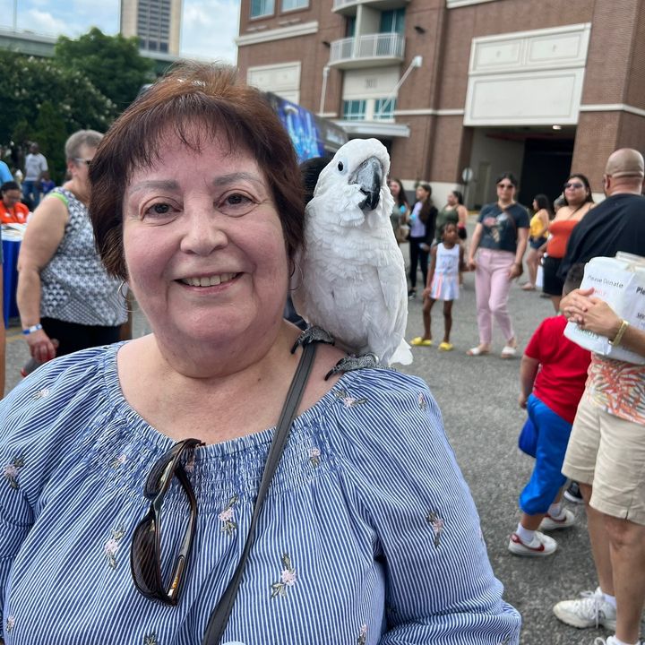 Yolanda Maestas - Tiktok Profile Picture of Yolanda Maestas (@raineandcharleysgrammy) on Tiktok