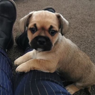 Profile Picture of Tina Gibbons (@@MrsG010809) on Twitter
