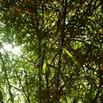 Profile Picture of Daniel Amir (@daniel.min.98) on Instagram