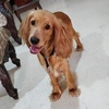 Profile Picture of Sathish (@@keith.sowder) on Tiktok