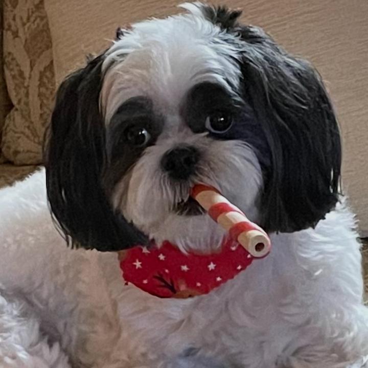 Profile Picture of Mark Gelsinger (@@markgelsinger4) on Tiktok