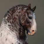 Profile Picture of Daniela Baglai | equine artist (@baglaidani) on Instagram