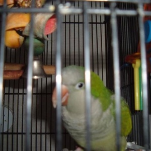 Profile Picture of Carl Ewing (@imabloodpally) on Myspace