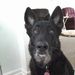 Profile Picture of Cathy Cordaro (@teresia4life) on Pinterest