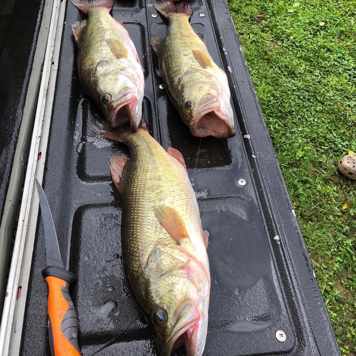 Profile Picture of Joseph leopard (@josephleopard_) on Tiktok