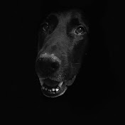 Profile Picture of Michael Lamon (@michaellamon7976) on Youtube