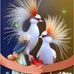 Profile Picture of Nan Wile (@Nan-Wile) on Facebook