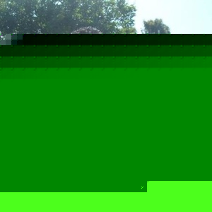 Mayra Yessenia - Myspace Profile Picture of Mayra Yessenia (@ana_is_wak) on Myspace