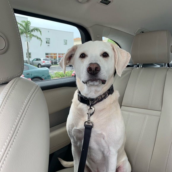 Profile Picture of Ashley Worley (@ashleymichele00) on Poshmark