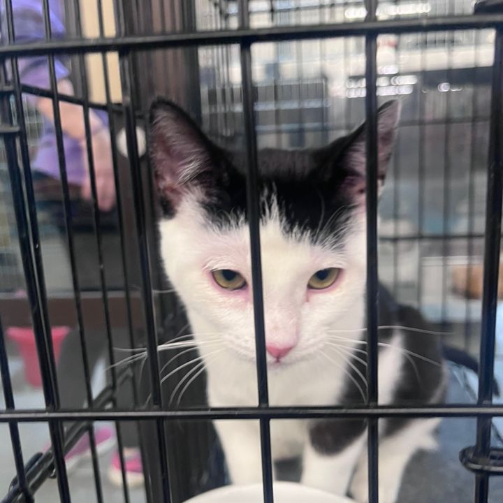 Profile Picture of Joshua Zarnowski (@joshuazarnowski) on Tiktok