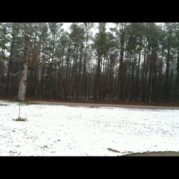 Profile Picture of Michelle Geilen (@beachten) on Poshmark