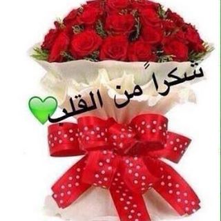 Profile Picture of Nora Hamed (@nora.hamed.543908) on Facebook