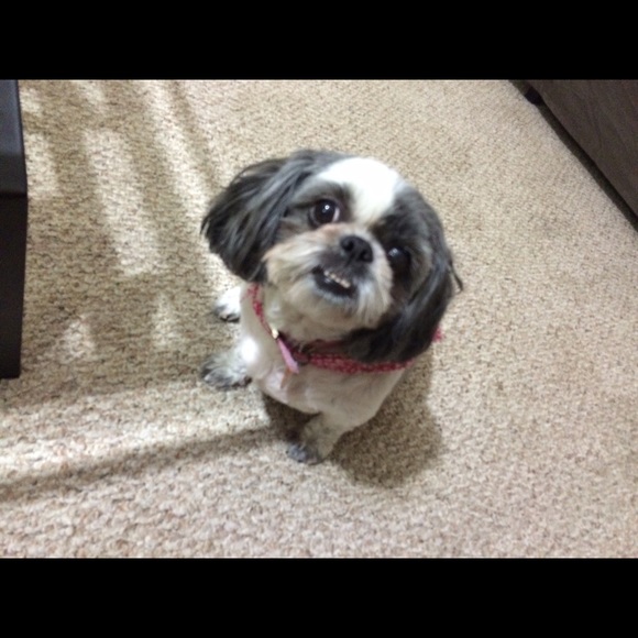 Profile Picture of Daniela Rizo (@danirizo25) on Poshmark