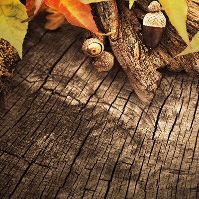 Profile Picture of Tran Hang (@tranhang17) on Twitter