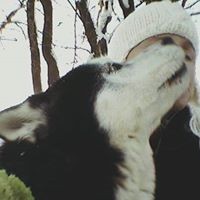 Profile Picture of Ana Gregorac (@ana-gregorac) on Quora