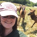 Haley Burger - Instagram Profile Picture of Haley Burger (@haleyburg95) on Instagram