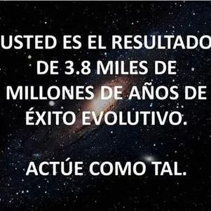 Profile Picture of Alexander Lizama (@LizamaSlr) on Twitter