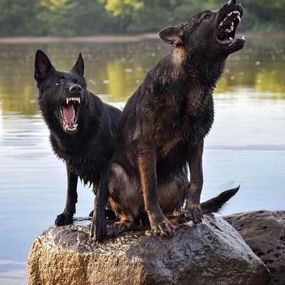 Profile Picture of Cesar Calderon (@CesarCa95905987) on Twitter