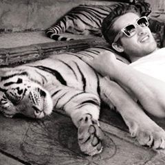 Profile Picture of Adam Biederman (@adambiederman) on Tiktok