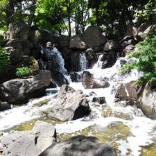 Profile Picture of Minorutabata (@Minorutabata1) on Twitter