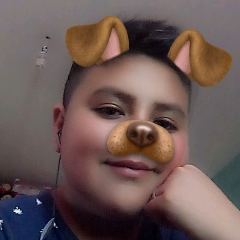 Profile Picture of Edwin Toribio (@edwintoribio4) on Tiktok