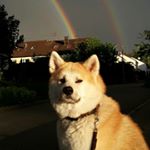 Profile Picture of Melanie Ziegler (@zauberhafte_kira) on Instagram