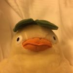 Profile Picture of Russell Duncan (@russell_the_duck) on Instagram
