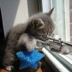 Profile Picture of Steve Darcy (@rabienrose) on Myspace