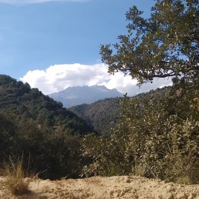 Profile Picture of John Samudio Vale (@JohnSamudioVale) on Twitter